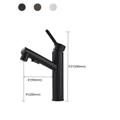Bathroom vanity faucet with swivel spout, single-handle mixer with pull-out spray head