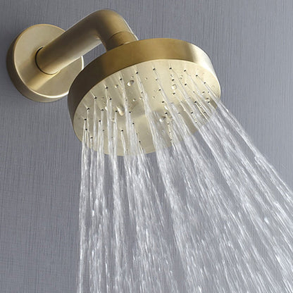 Stainless steel shower combination with round, fixed shower head and shower arm