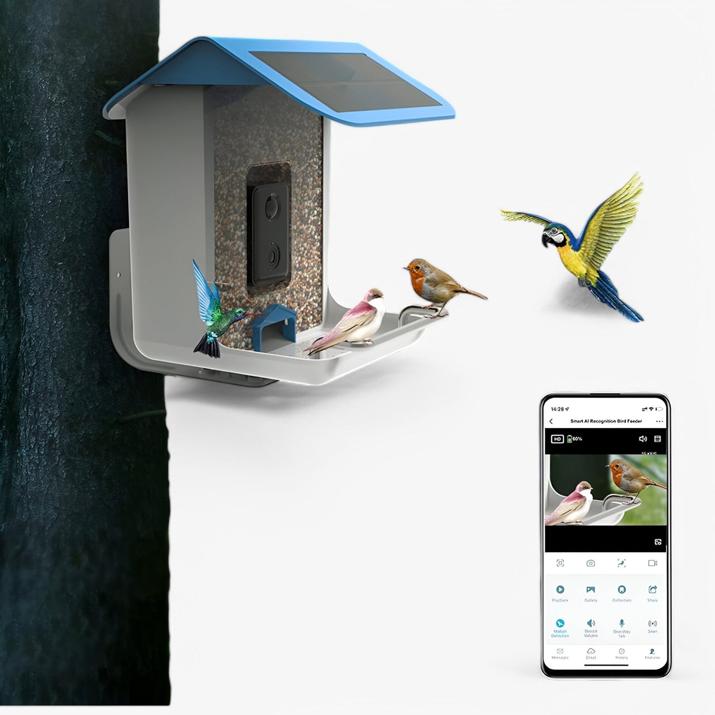 Skanto | Auxco | Smart Bird Feeder with 1080P HD Camera, AI Bird Recognition & Solar Charging