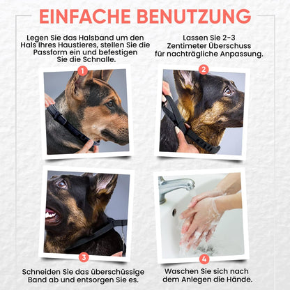 Sandsberg - Anti Tick Collar