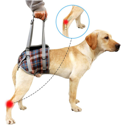 Skanto | Dog Lift Harness with Handle, Pet Recovery Sling