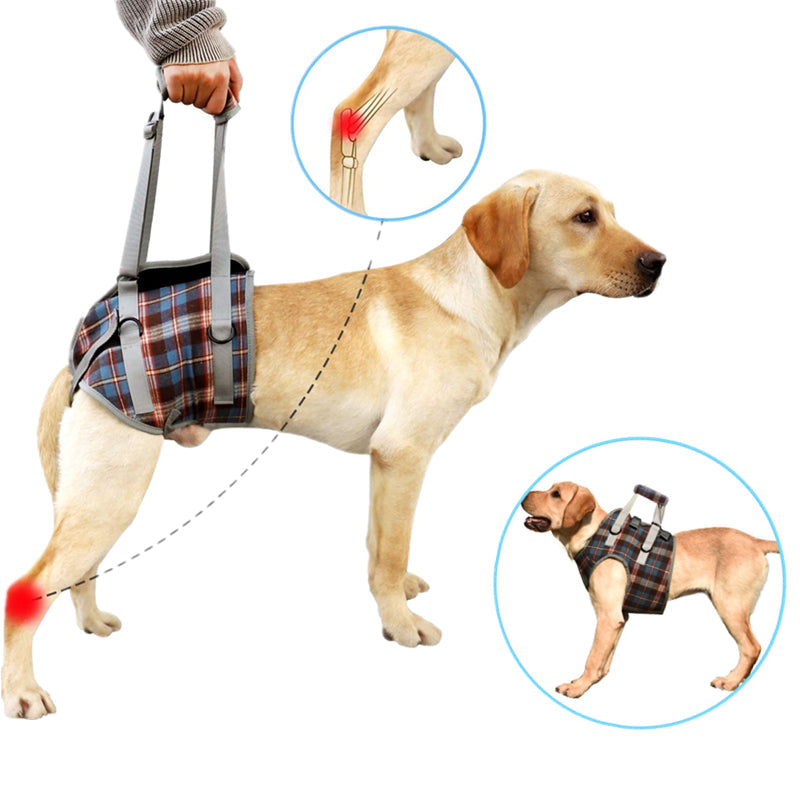 Skanto | Dog Lift Harness with Handle, Pet Recovery Sling