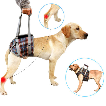 Skanto | Dog Lift Harness with Handle, Pet Recovery Sling