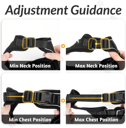 Skanto | Escape-Proof Cat Harness