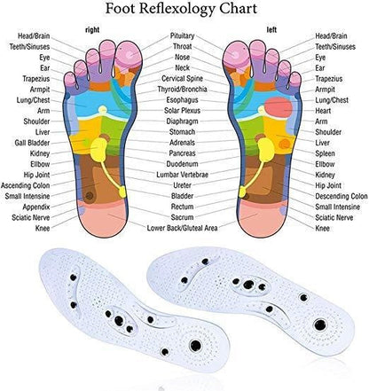 Acusoles® Magnetic Therapy Insoles | Brehn