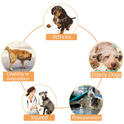Skanto | Dog Lift Harness with Handle, Pet Recovery Sling