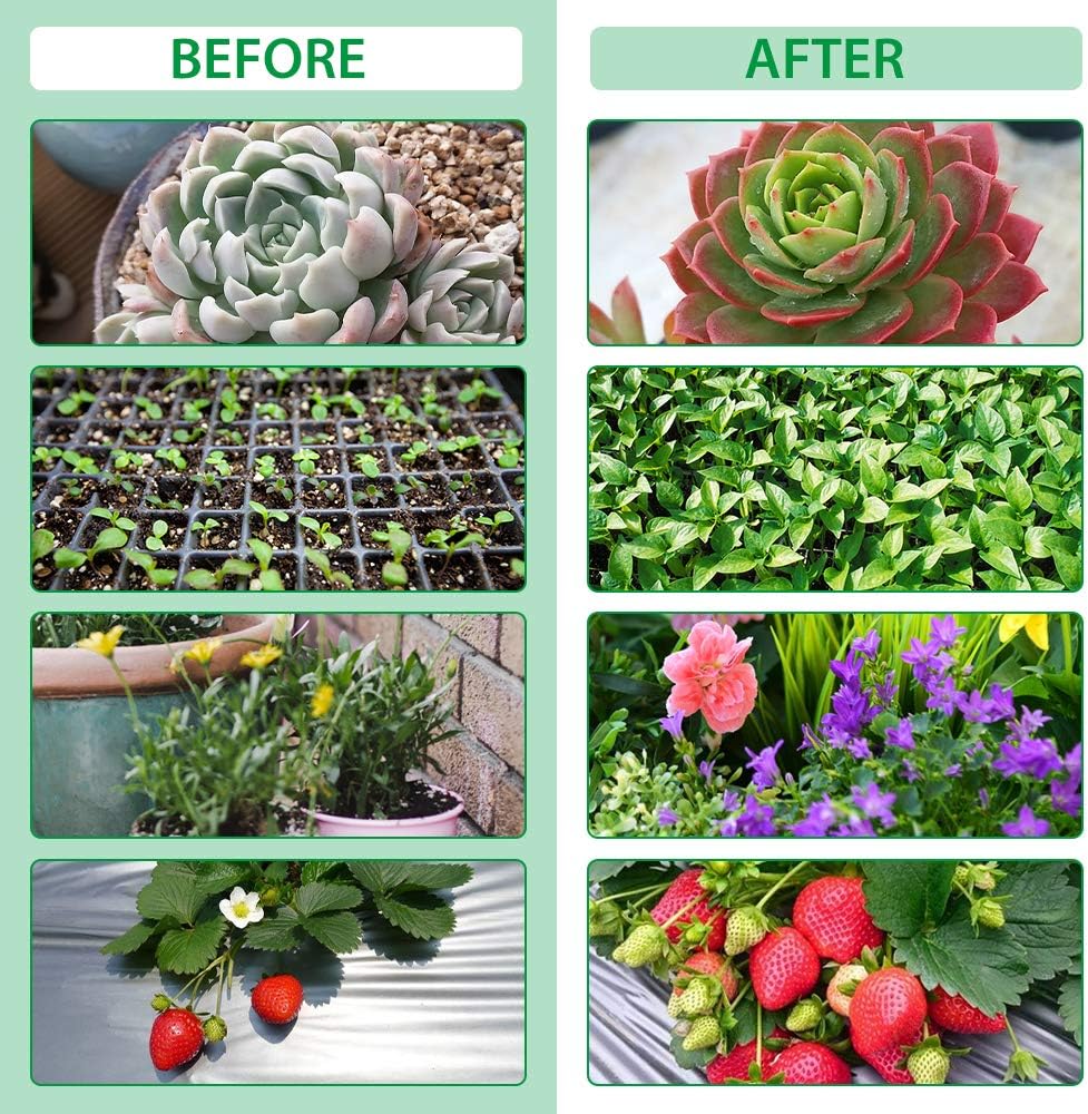 Skanto | Grow Light with 4 Flexible Arms and Dimmer for Indoor Gardens