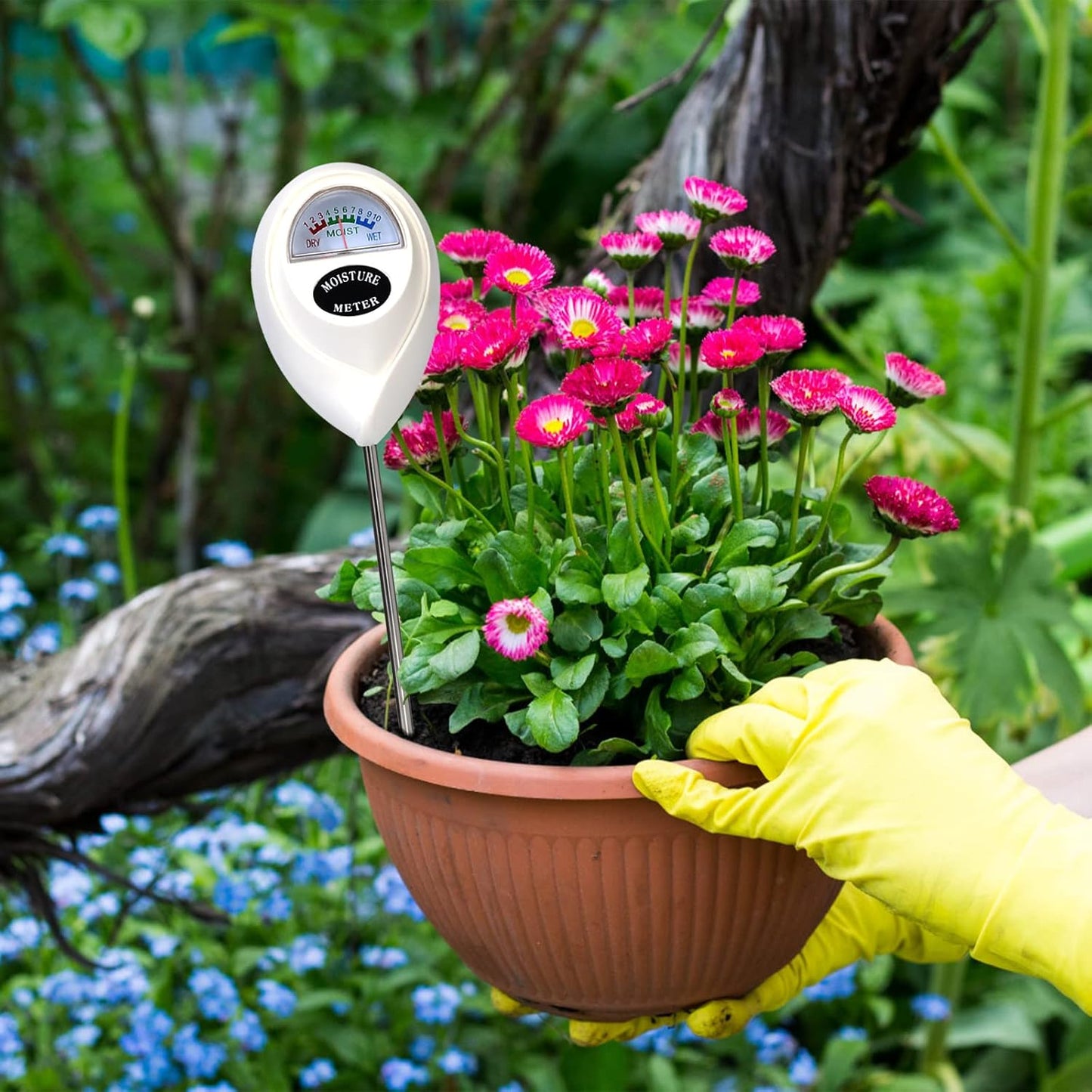 BowLift | Soil moisture meter for precise moisture measurement in soil – Ideal for plant care