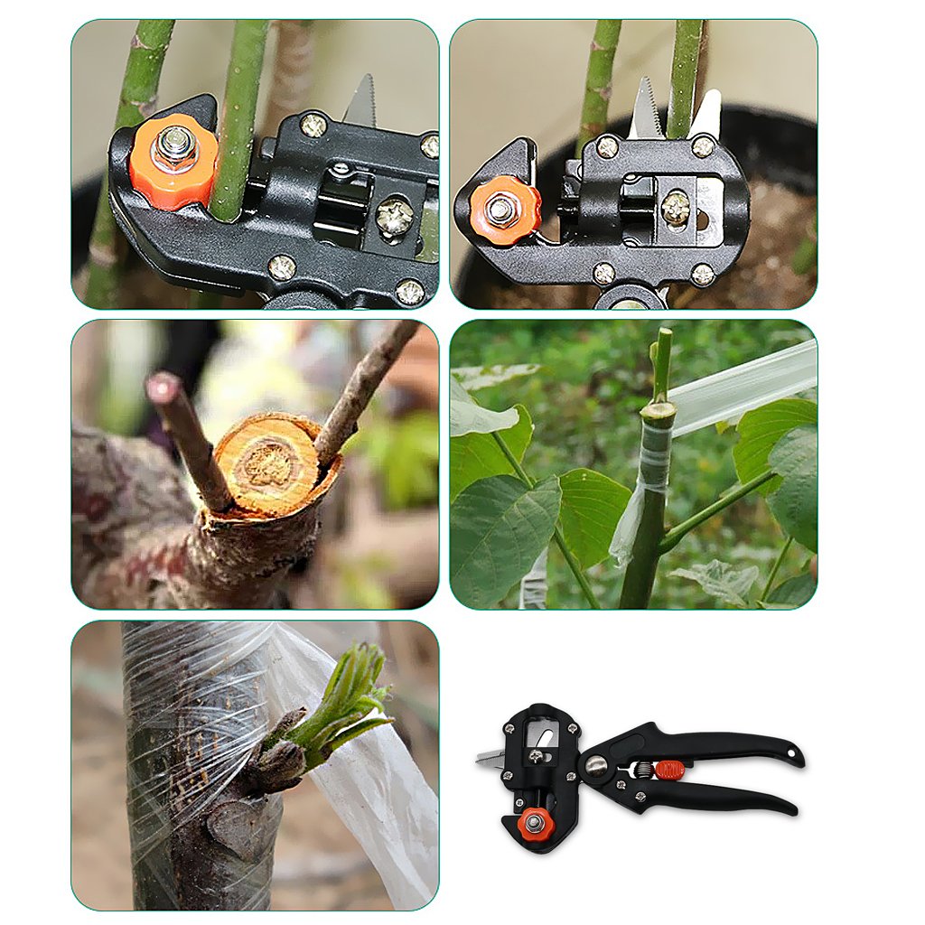 Skanto | Pruning and Grafting Tool Set for Precise Plant Propagation