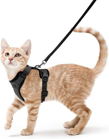 Skanto | Escape-Proof Cat Harness