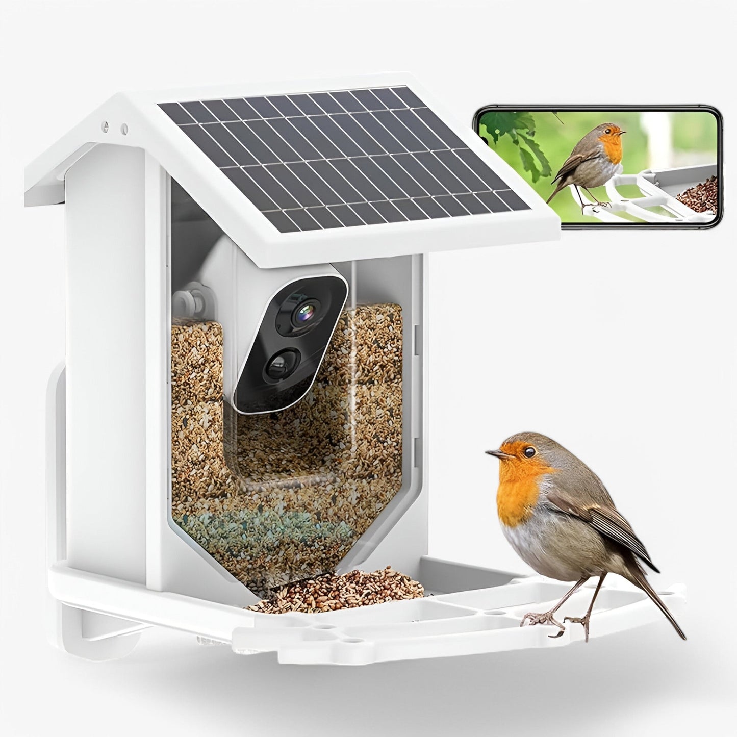 Skanto | Auxco | Smart Bird Feeder with 1080P HD Camera, AI Bird Recognition & Solar Charging