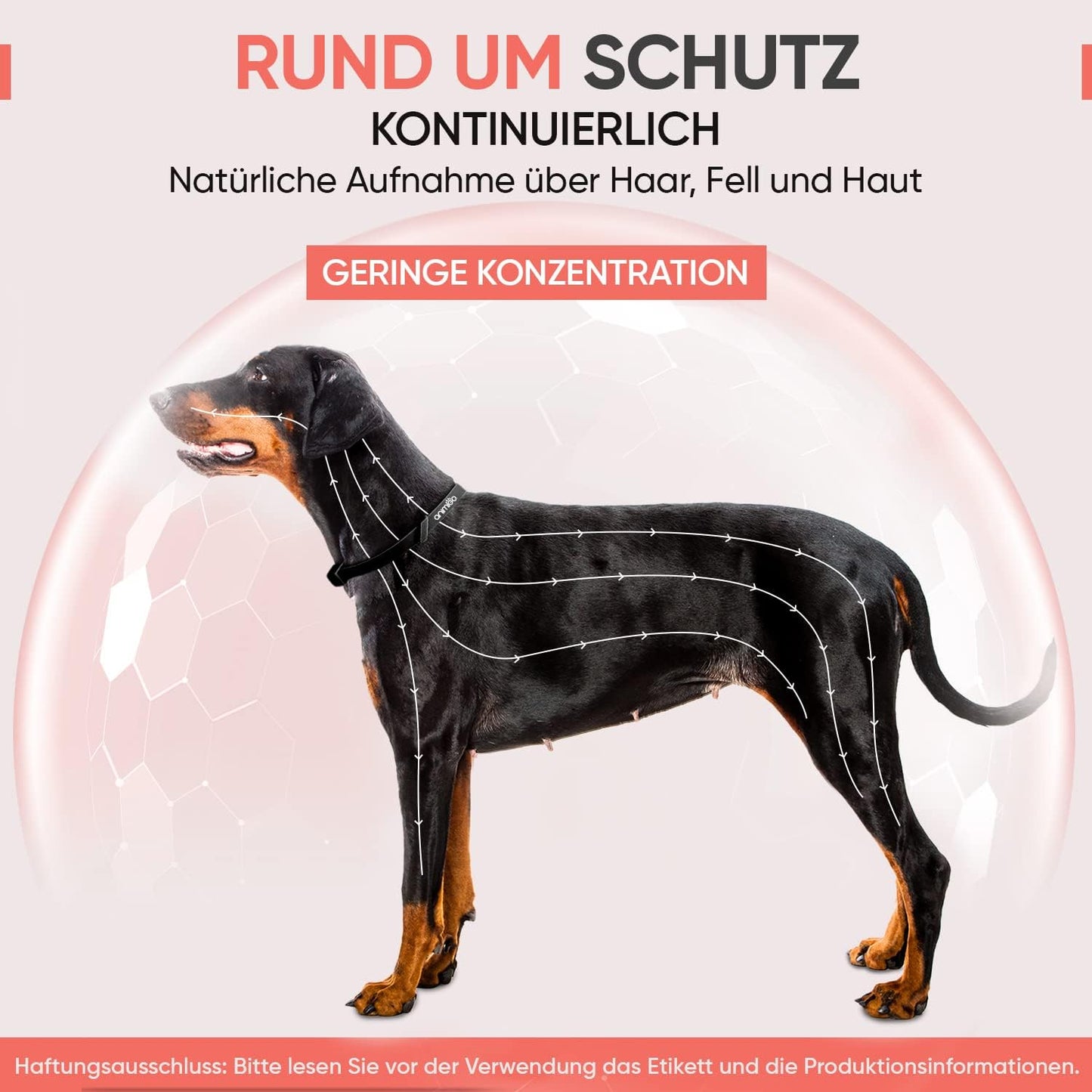 Sandsberg - Anti Tick Collar