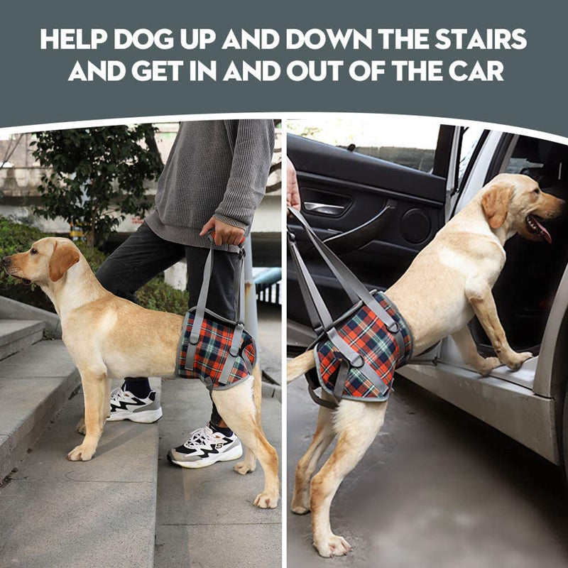 Skanto | Dog Lift Harness with Handle, Pet Recovery Sling