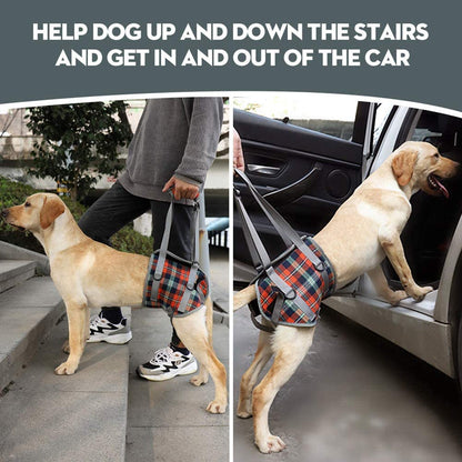 Skanto | Dog Lift Harness with Handle, Pet Recovery Sling
