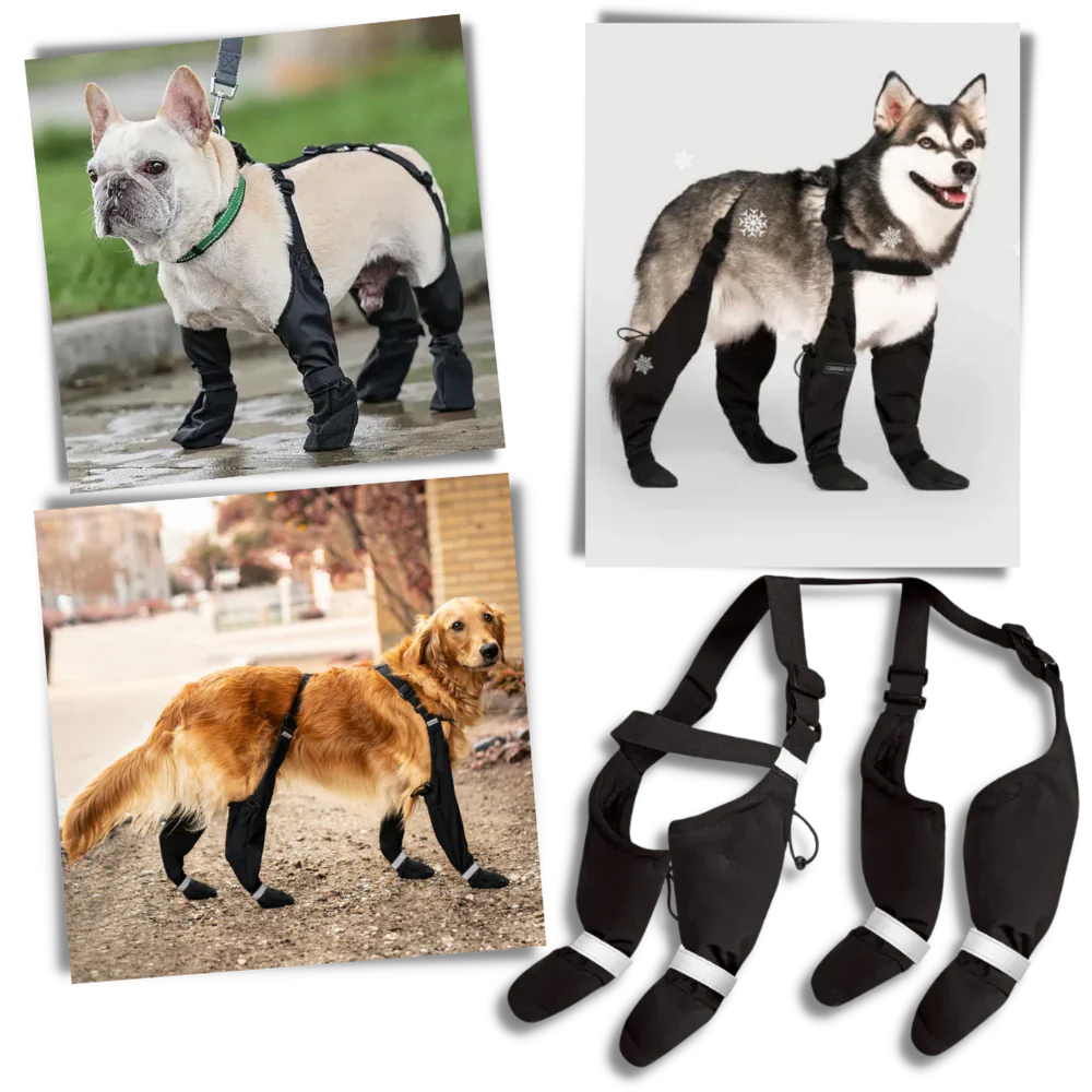 Skanto | Water-Repellent Dog Boots