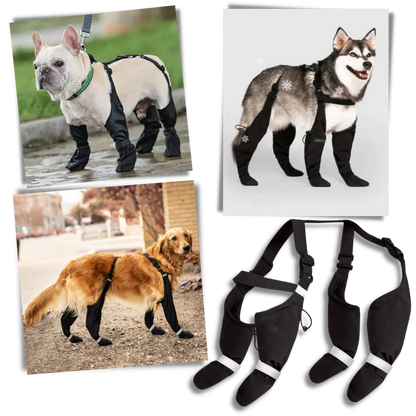 Skanto | Water-Repellent Dog Boots