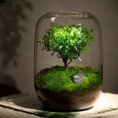 Micro Landscape Green Oasis Glass Vases | Brehn