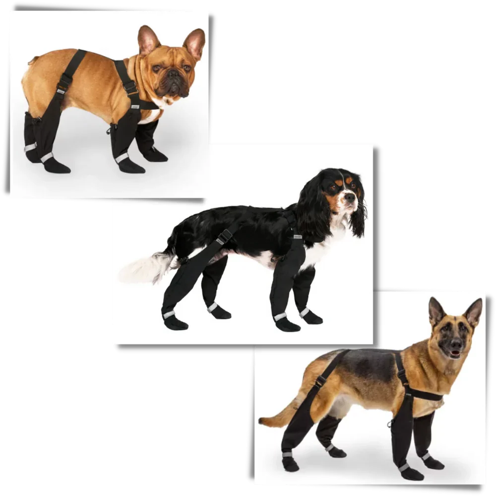 Skanto | Water-Repellent Dog Boots