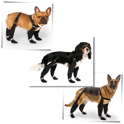 Skanto | Water-Repellent Dog Boots