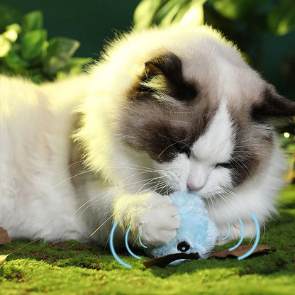 Skanto | Smarter interactive plush ball for cats | Buy 1, Get 1 Free 🎁