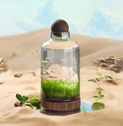 Micro Aquarium Compact Glass Ecological Fish Tank | Bowlift