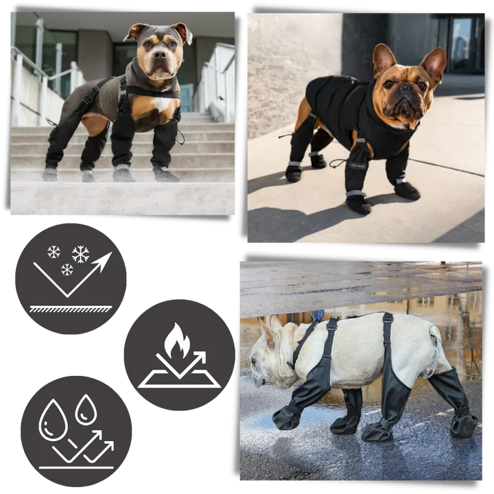 Skanto | Water-Repellent Dog Boots