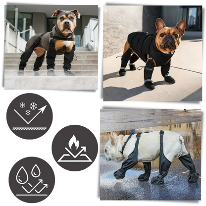 Skanto | Water-Repellent Dog Boots