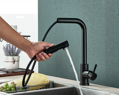 FlexiJet Black Pull-Out Kitchen Faucet Skanto