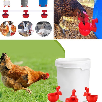Skanto | Automatic Poultry Drinker
