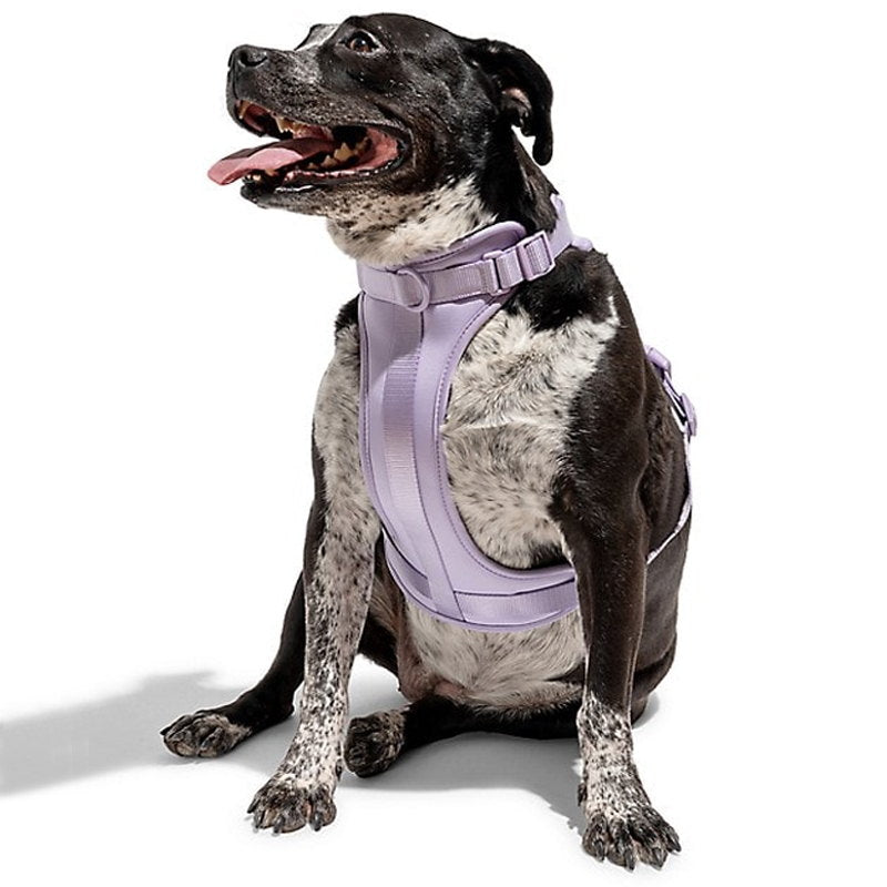 Skanto | Adjustable Dog Vest Harness with 3 Leash Clips