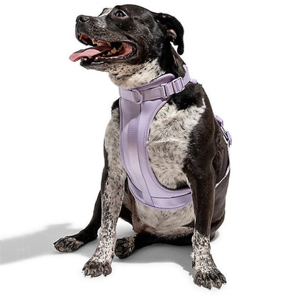 Skanto | Adjustable Dog Vest Harness with 3 Leash Clips