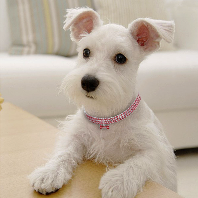 BowLift | Sweet Crystal Dog Collar