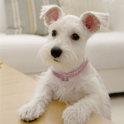 BowLift | Sweet Crystal Dog Collar