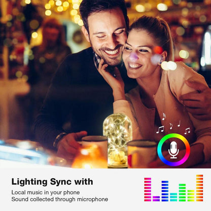 Skanto | Upgraded Christmas LED String Lights