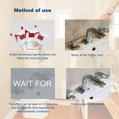 Skanto | Mold Remover Foam