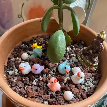 🦆Tiny Ducks | Challenge Hiding Ducks | Norvo