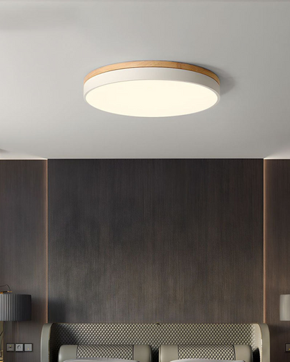 Skanto | Modern Pendant Light with Nature-Inspired Form