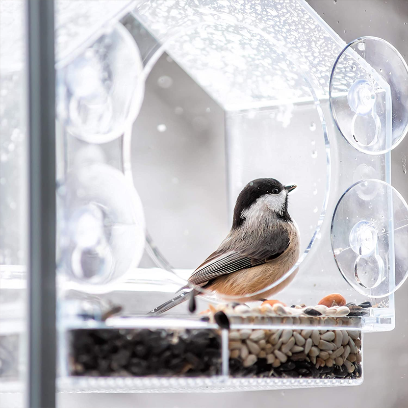 BowLift | Window Bird Feeder House