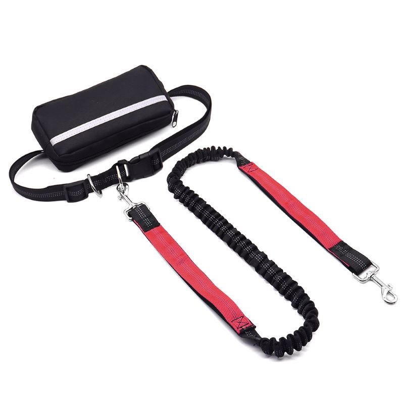 Skanto | Hands-Free Dog Leash with Zipper Pocket