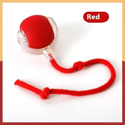 Skanto | Smart Rolling Pet Toy Ball