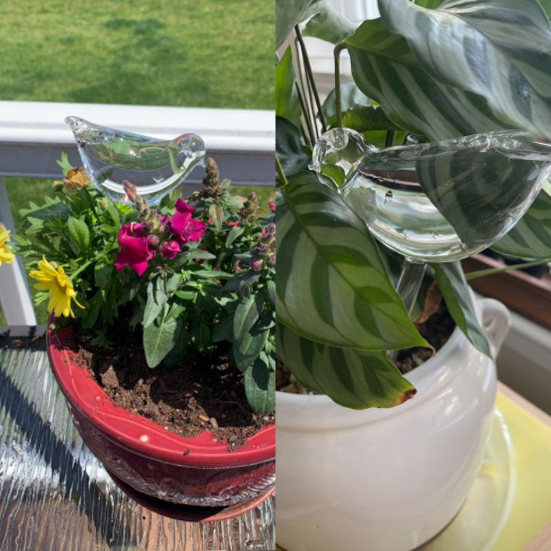 Self-watering glass birds