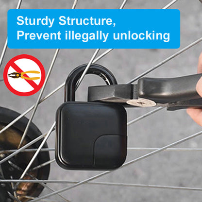 Skanto | Graffiti Fingerprint Padlock