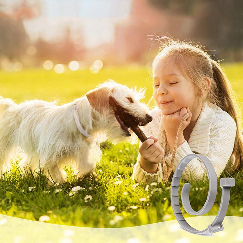 Skanto | Adjustable Pet Insect Repellent Collar