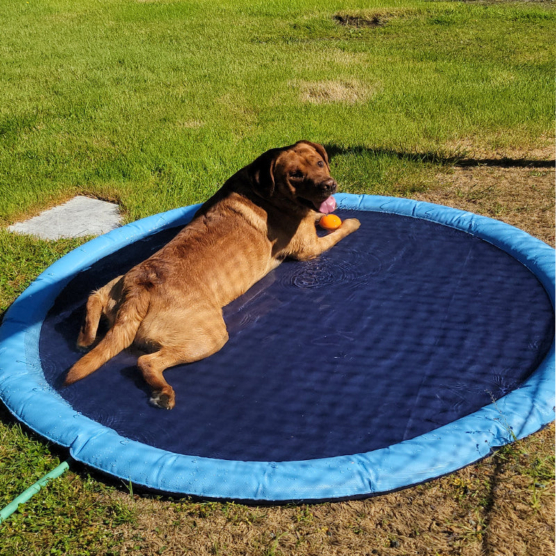 Brehn | Dog Sprinkler Pool 59''x59''