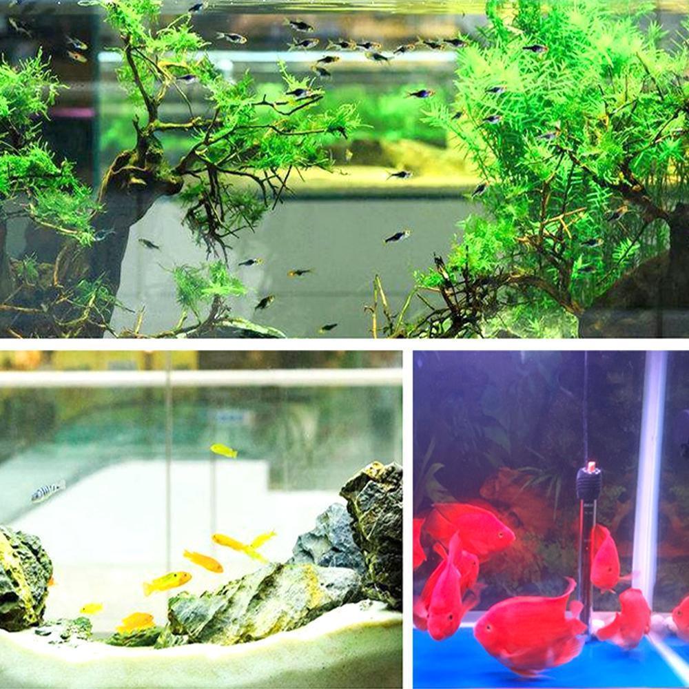 Skanto | Eco-Aquarium Water Purifier Cube