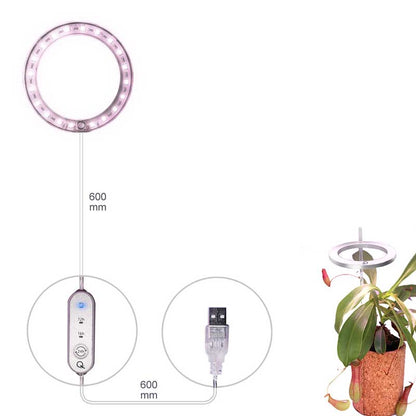 Skanto | Grow Light for Indoor Plants