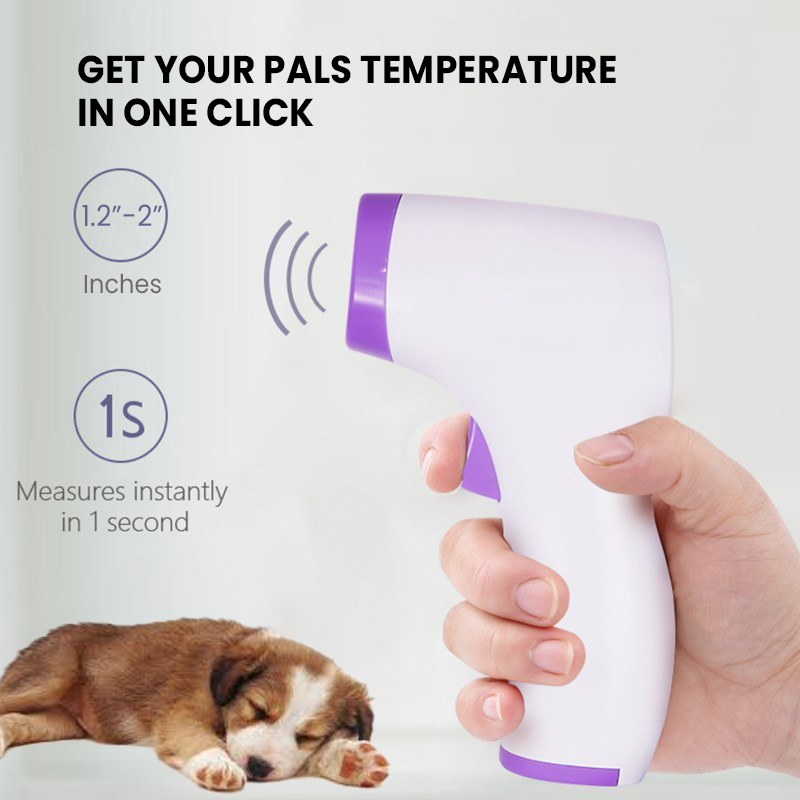 Contactless dog thermometer with one-click reading