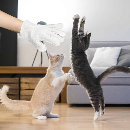 BowLift | Pet Glove Wipes for Dogs & Cats