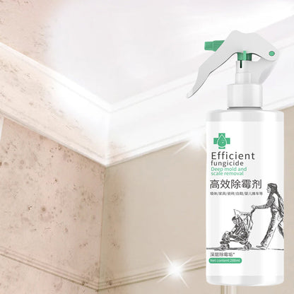 Skanto | High-Efficiency Mold Remover