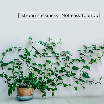 Wall clips for climbing plants (30 pieces) | Bowlift
